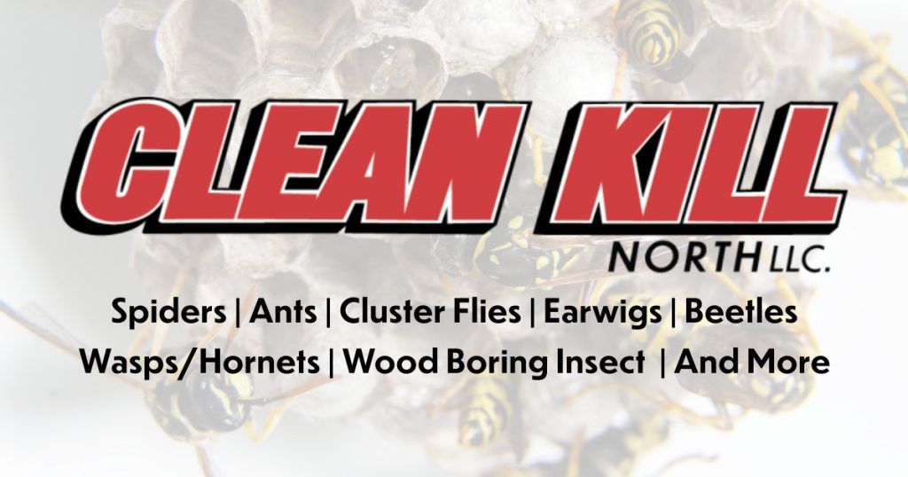 Clean Kill North Pest Control