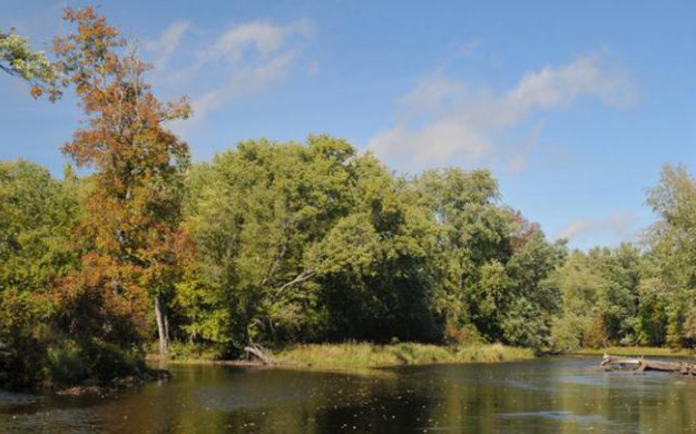 River in Town of Fern
