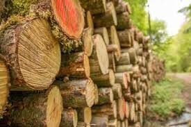 G&G Forest Products